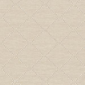 Horzions Tussah Fabric