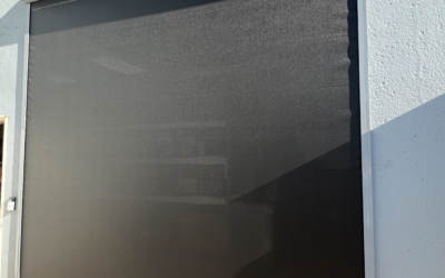 Modern Window Shade Solutions for Dallas Businesses