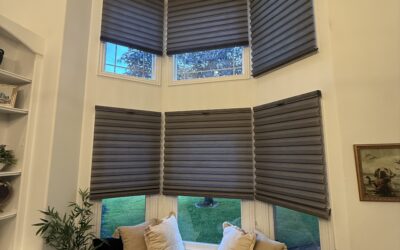 Festive Windows, Warm Gatherings: Celebrate the Holidays in North Central Dallas