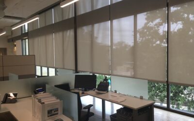 Elevate Your Business with Custom Window Shades